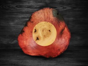 Akátová miska „Meteorit“ (23×9 cm)